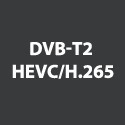 DVB-T2 HEVC/H.265